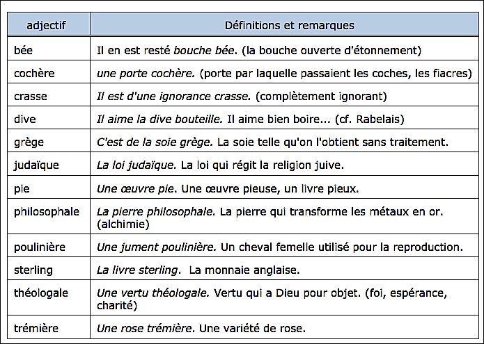 adjectifs sans masculin