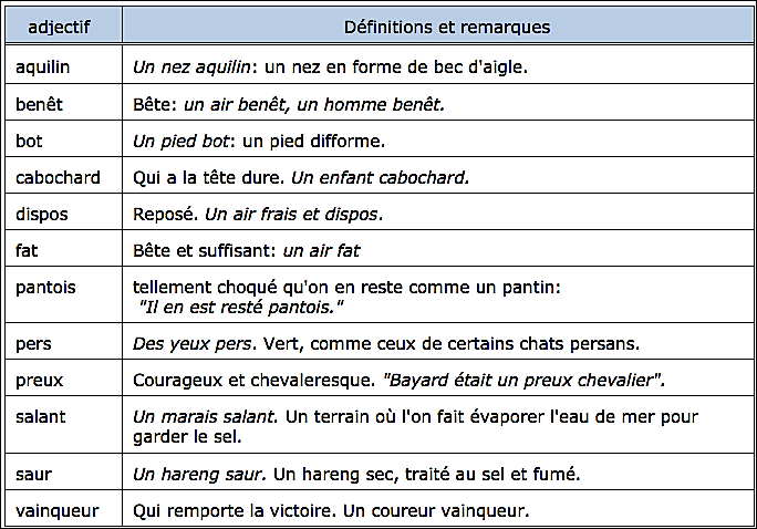 adjectifs sans féminin