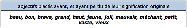 adjectifs sans masculin