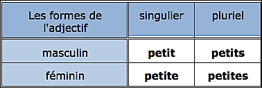 Formes de l'adjectif