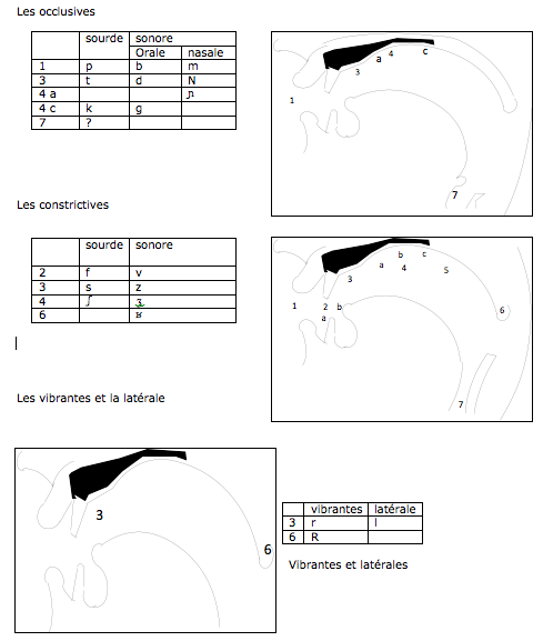 consonnes replacées