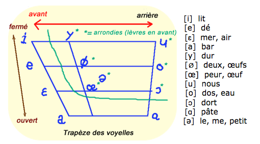 le trapèze vocalique