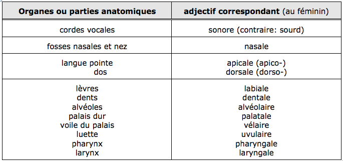 nom des phonèmes