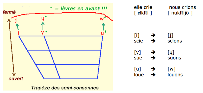 trapèze des semi-consonnes