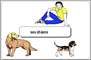 ses chiens