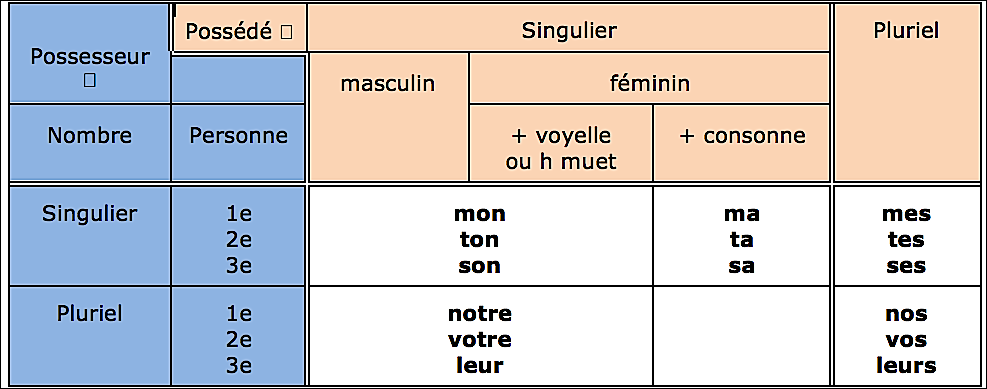 Tableau des Adjectifs possessifs