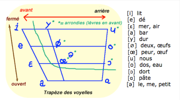 trapèze des voyelles