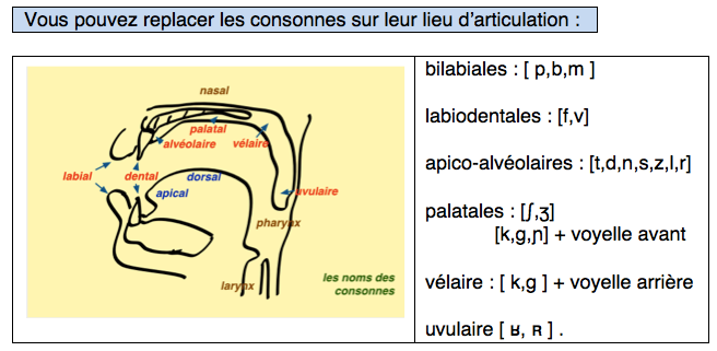 consonnes