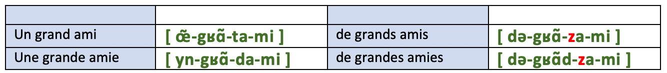 Voyelles arrondies