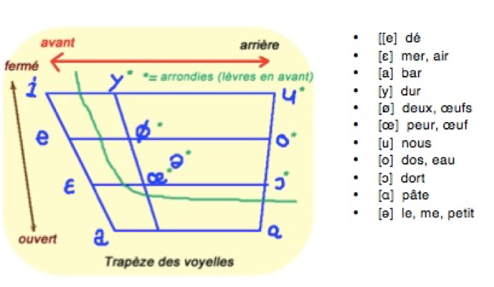 Trapèze vocalique