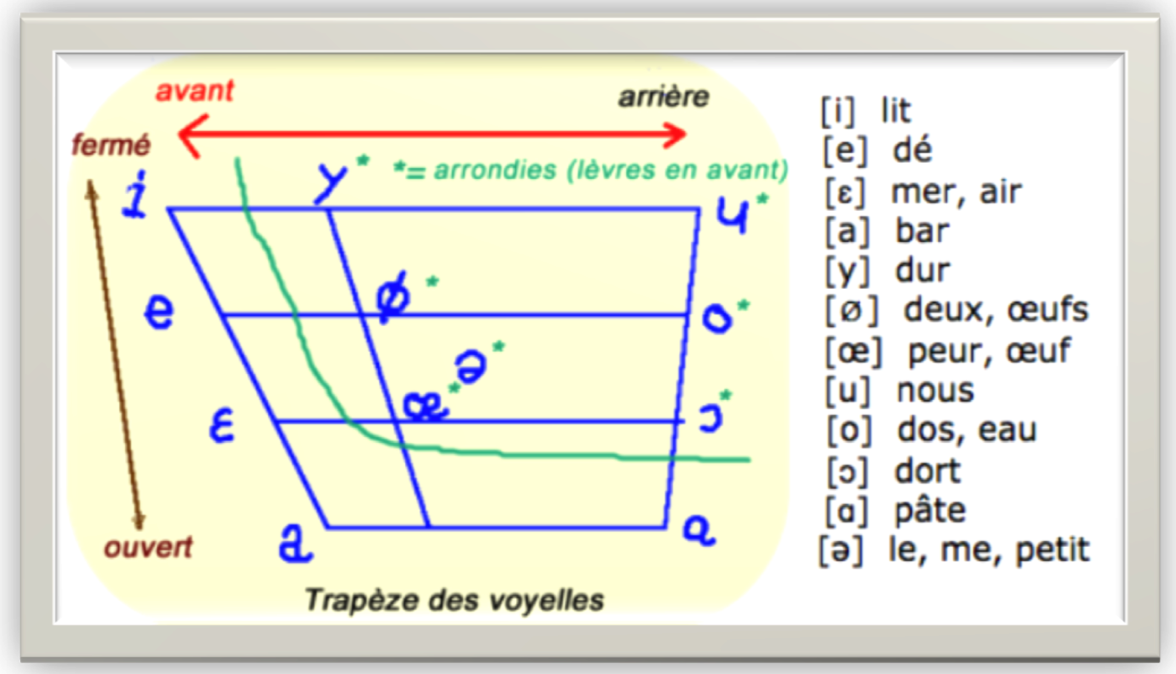 Trapèze vocalique